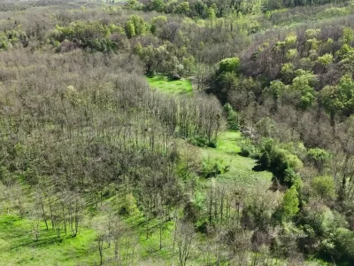 kisbucsa-rakoczi ferenc utca-mezogazdasgi ingatlan-telek-dji-2